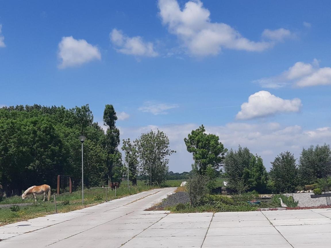 Bedstay41 Oudewater المظهر الخارجي الصورة